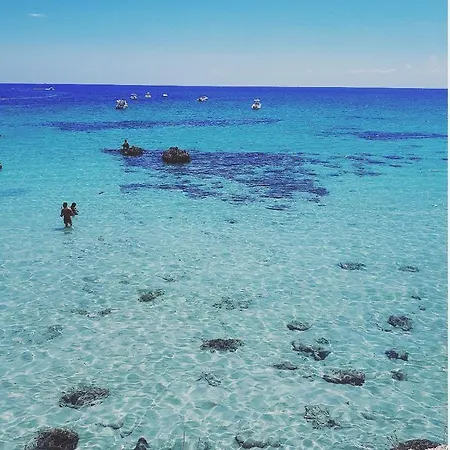 Del Mediterraneo *